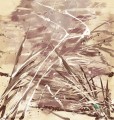 Mural Texam RWD45 Breeze RAW