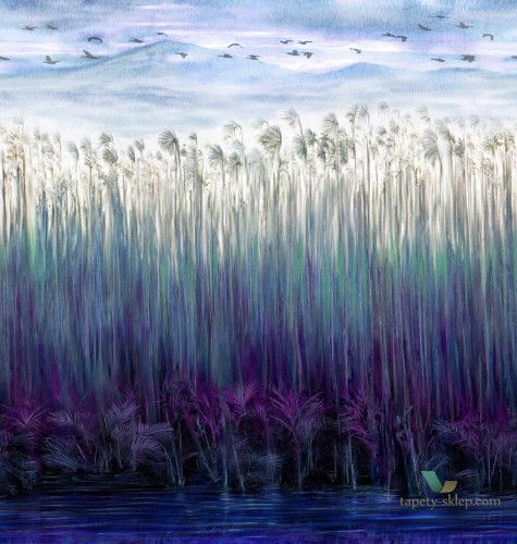 Mural KATA KAD507 Komo Calipso Texam