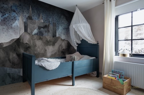 Fototapeta Rebel Walls R16951 Cliff Castle