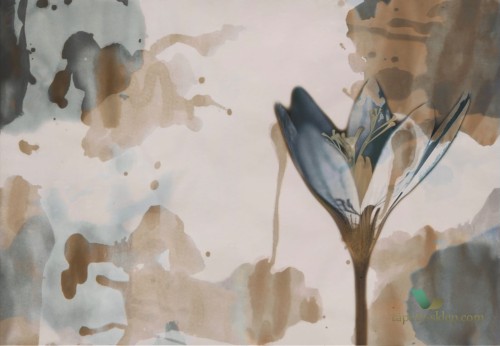 Tapeta Wall&Deco WDDE2002 Delilah