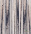 Fototapeta Wall&Deco WDQP2002 Ne me Quitte Pas Contemporary 2020