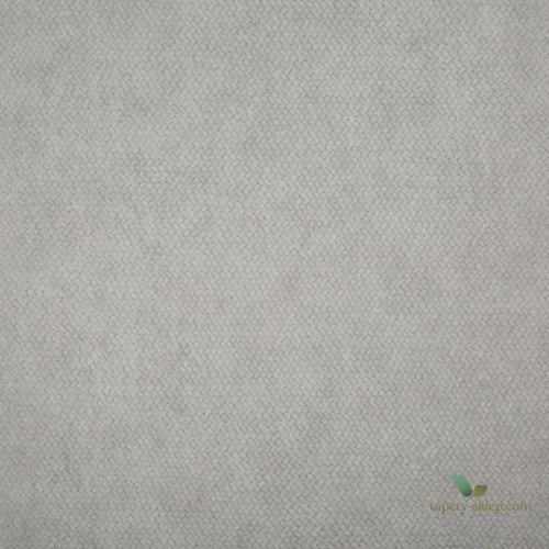 Tapeta Cesto 21541 Lizzo Legend