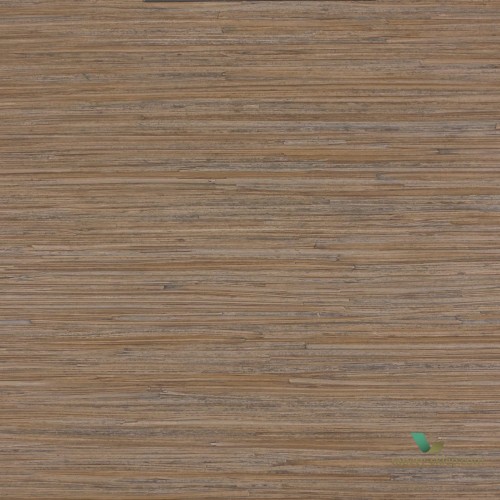 Tapeta Enea 01 Lizzo Legend