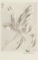 Fototapeta Eijffinger 358117 Masterpiece