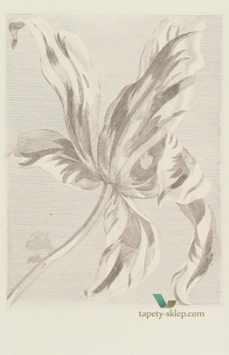 Fototapeta Eijffinger 358117 Masterpiece