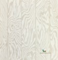 Tapeta Cole & Son 107/1005 Zebrawood Curio