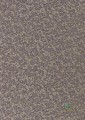 Tapeta 111870 Coral Anthology 05