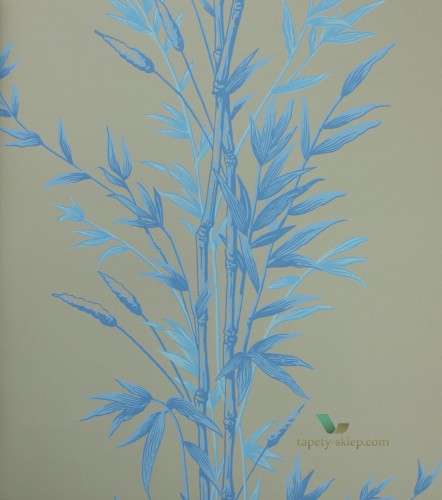 Tapeta 100/5026 Cole & Son Archive Anthology Bamboo