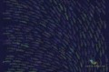 Tapeta London Art 18023 Rainbow Fish