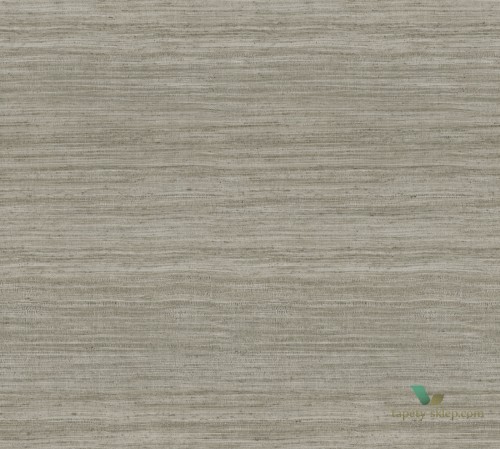 Tapeta Arte Eri 72055 Expedition