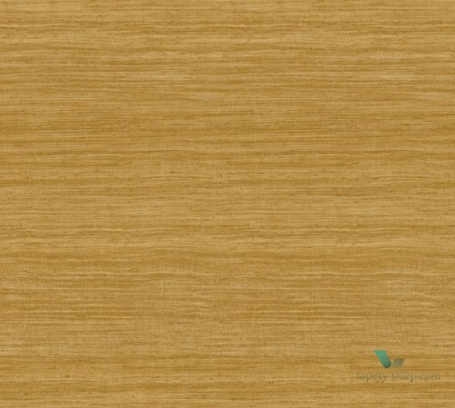 Tapeta Arte Tasar 72026 Expedition