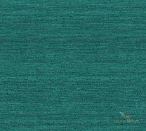 Tapeta Arte Tasar 72039 Expedition