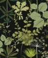 Tapeta botaniczna OLI002 Herbario Khroma Olivia