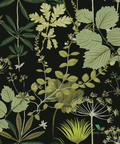 Tapeta botaniczna OLI002 Herbario Khroma Olivia