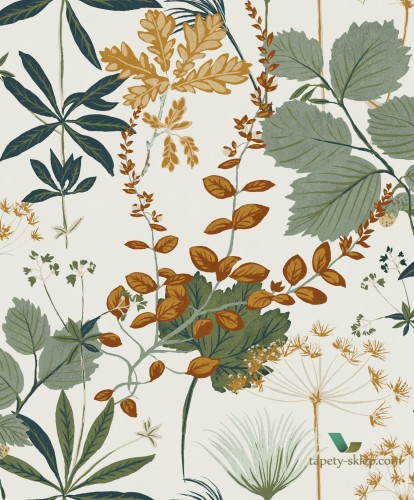 Tapeta botaniczna OLI003 Herbario Khroma Olivia