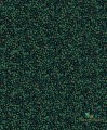 Tapeta delikatne kwiaty OLI606 Wildflower Khroma Olivia