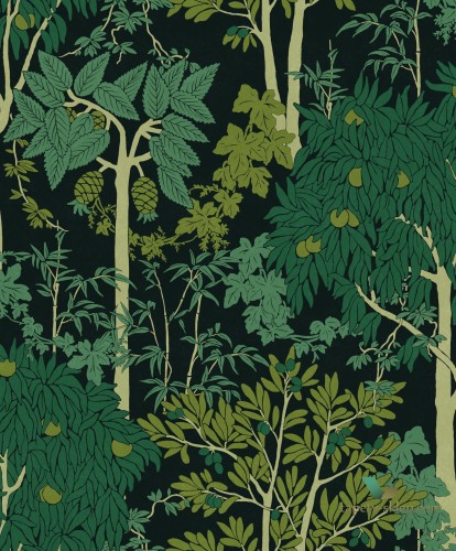 Tapeta las OLI203 Amazone Khroma Olivia