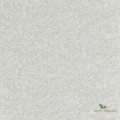 Tapeta 112560 Ammonite Anthology 7
