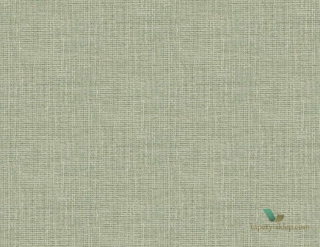Tapeta Wallquest BV50604 Mainstreet