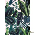 Mural tropikalne rośliny Caselio 100197812 The Pink Jungle Beauty Full Image