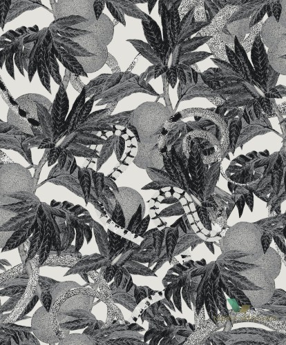 Tapeta tropikalna Khroma CAB202 Equator Cabinet of Curiosities