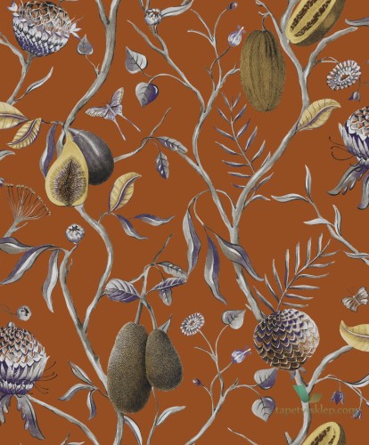 Tapeta botaniczna Khroma CAB604 Papaya Cabinet of Curiosities
