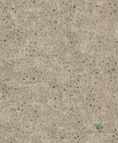 Tapeta Khroma CAB801 Tender Cabinet of Curiosities