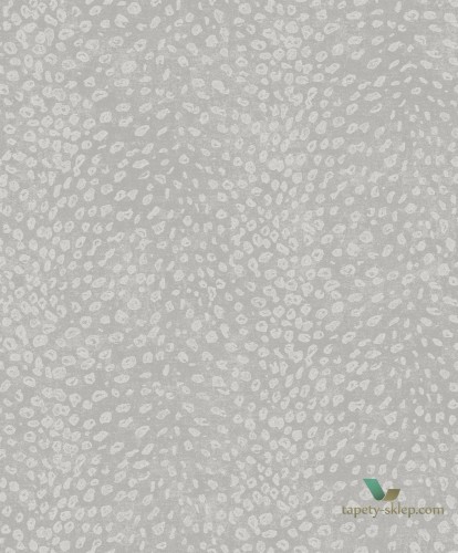 Tapeta Khroma CAB802 Tender Cabinet of Curiosities