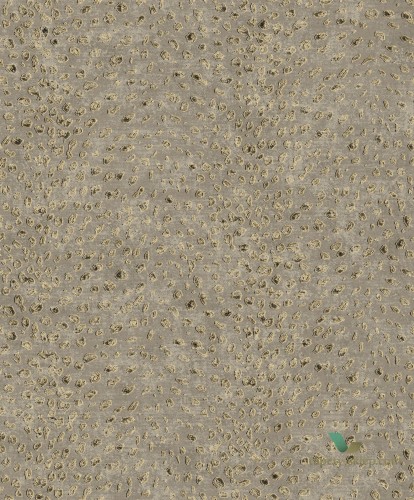 Tapeta Khroma CAB803 Tender Cabinet of Curiosities