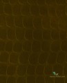 Tapeta Welurowa Eijffinger 300560 Skin