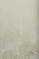 Tapeta Candice Olson NA0579 Botanical Dreams