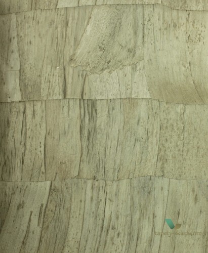 Tapeta Arte Capas 34304 Selva