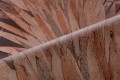 Tapeta tropikalne Liście Arte Abanico 34003 Selva