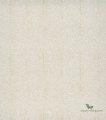 Tapeta Guy Masureel VIC703 Turtle Ode