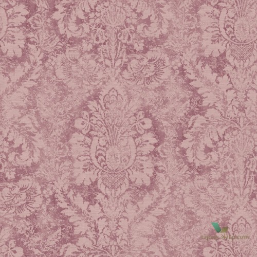 Tapeta Abby Rose 4 AF37712 Galerie