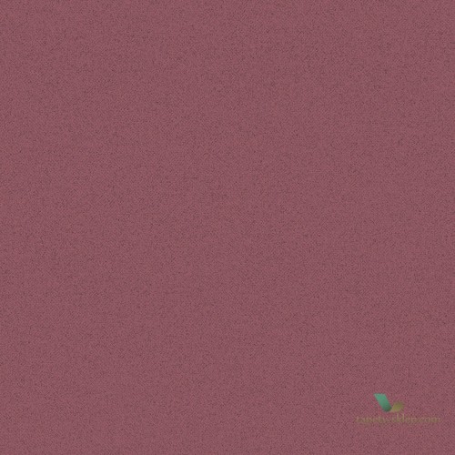 Tapeta Abby Rose 4 AF37737 Galerie