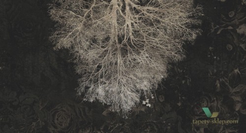 Tapeta Muance MU12031 Expansion Theory II Cobalt