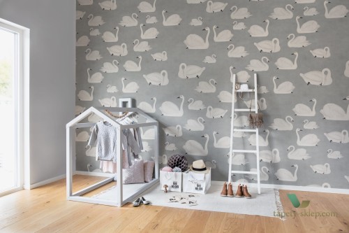 Fototapeta R17124 Cygne Rebel Walls