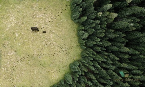 Tapeta Wall&Deco WET_GO2002 GO BOY GO WET SYSTEM 2020