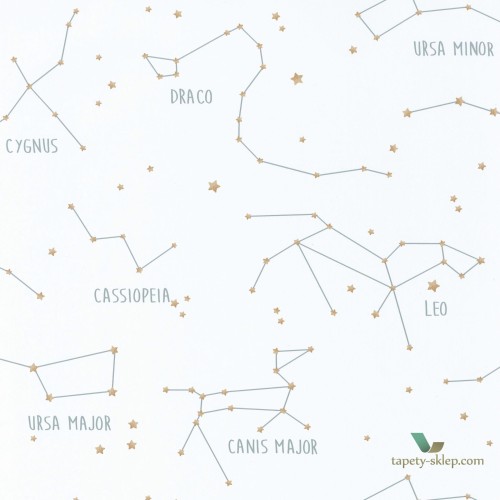 Tapeta Caselio Constellations OUP101917125 Our Planet