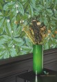 Tapeta w liście Casadeco Greenery FOCL 85797156 Five o'clock
