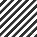 Tapeta Esta 139112 Black and White