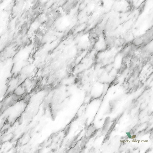 Tapeta Esta 139119 Black and White