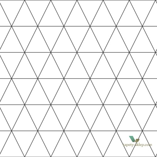 Tapeta Esta 139148 Black and White