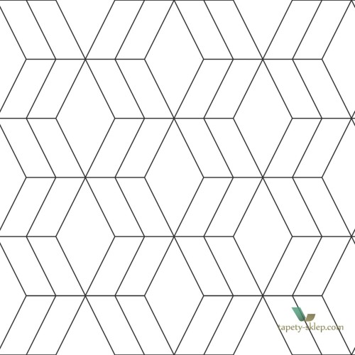 Tapeta Esta 139149 Black and White