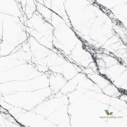 Mural Esta 158942 Black and White