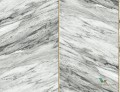 Tapeta Wallquest CN 31700 Charleston