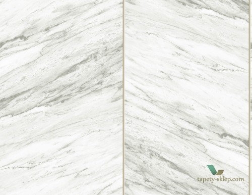 Tapeta Wallquest CN 31705 Charleston