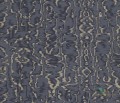 Tapeta 1838 Wallcoverings 1602-105-06 Avington Avington