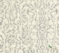 Tapeta 1838 Wallcoverings 1602-105-04 Avington Avington